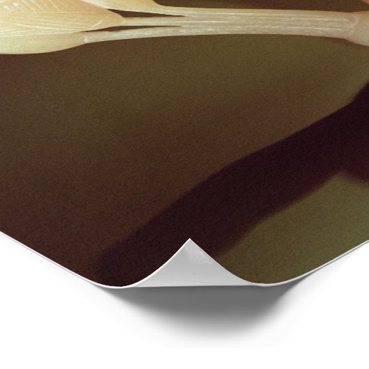 Poster Tasse à boire sous forme d'une demi-ouverture (Coin)