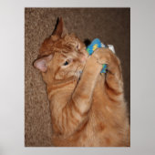 Poster Tater (Devant)