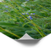 Poster Tatoosh Range et fleurs sauvages | Mt. Rainier (Coin)