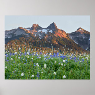 Poster Tatoosh Range et fleurs sauvages Mt. Rainier