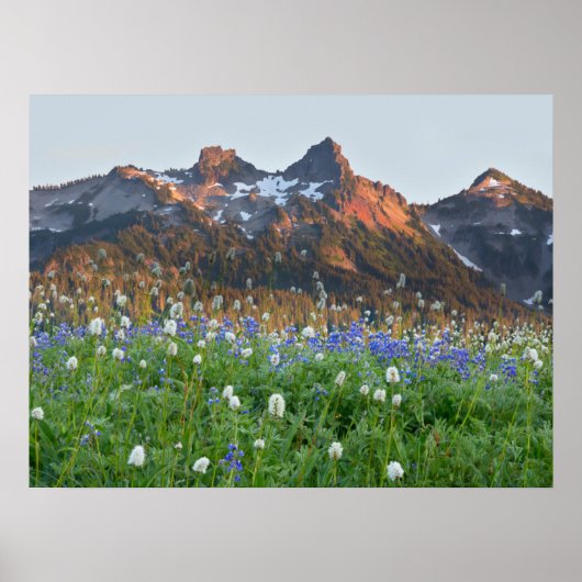 Poster Tatoosh Range et fleurs sauvages | Mt. Rainier (Devant)