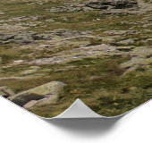 Poster Tatras (Coin)