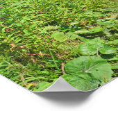 Poster Tatras, Slovaquie (Coin)