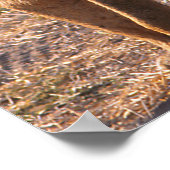 Poster Tau, Lion, Photo (Coin)