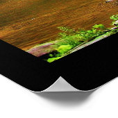 Poster TAUGHANNOCK FALLS print (Coin)