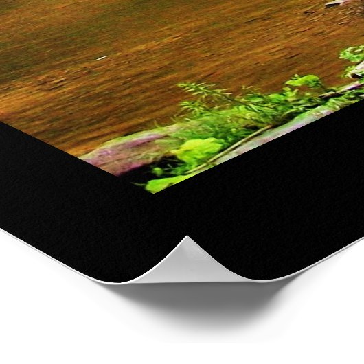 Poster TAUGHANNOCK FALLS print (Coin)