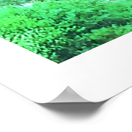 POSTER TAUGHANNOCK TOMBE ITHACA (Coin)