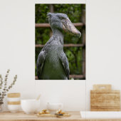 Poster Taupe (Balaeniceps rex) (Cuisine)
