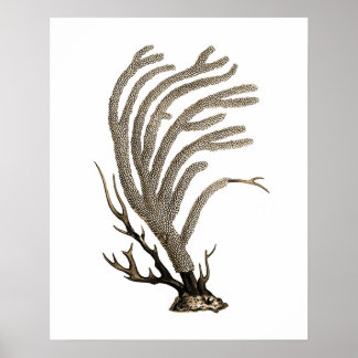 Poster Taupe Sea Coral n° 2 Beach Wall Art