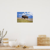 Poster Taureau de bison posant, vallée de Hayden, Yellows (Cuisine)