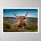 Poster Taureau de Highland dans l'herbe (Devant)
