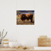 Poster Taureau Highland Cattle, Écosse (Cuisine)