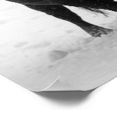 Poster Taureau noir majestueux en hiver sur le terrain de (Coin)