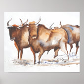 Poster Taureaux (Devant)