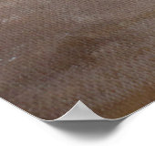 Poster Taurus (Coin)