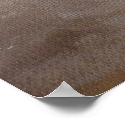 Poster Taurus (Coin)