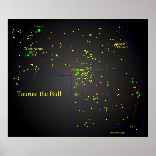 Poster Taurus la constellation Bull (Devant)