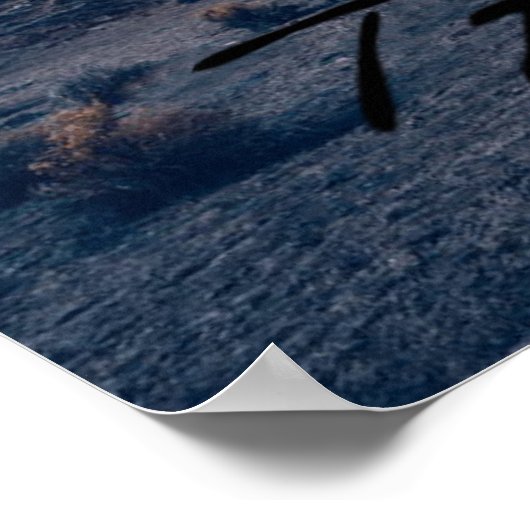 POSTER TAURUS LE BULLE (Coin)