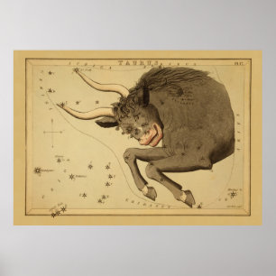 Poster Taurus - Signe Vintage de l'image du Zodiaque