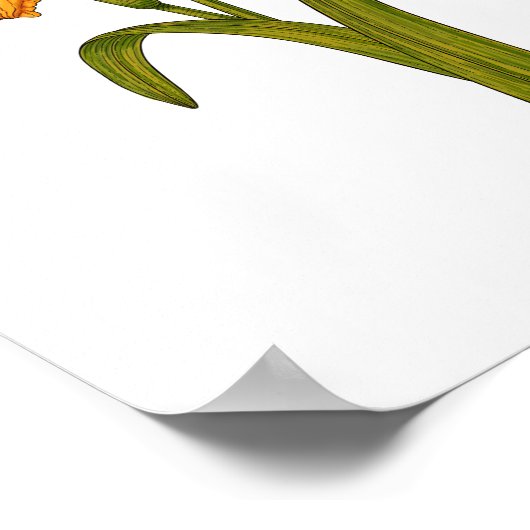 Poster Tawny day (Coin)