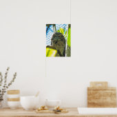 Poster Tawny n'est pas un hibou (Cuisine)