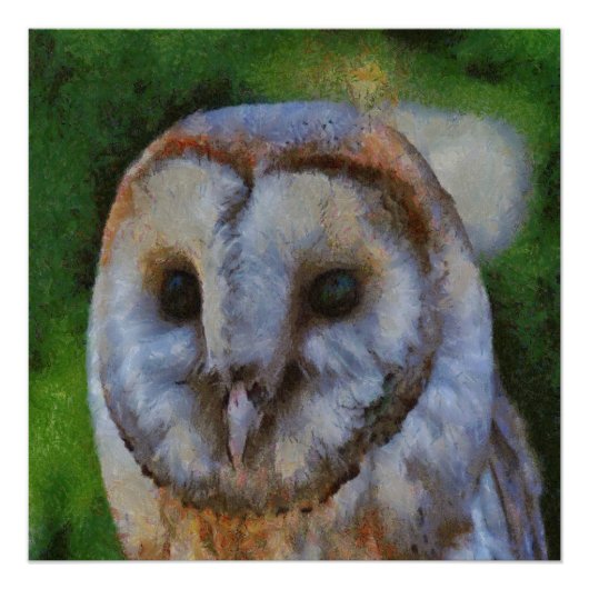 Poster Tawny Owl En Pointillisme (Devant)