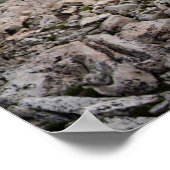 Poster Tawny Point Panorama - John Muir Trail (Coin)
