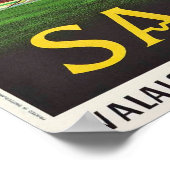 POSTER TAXE DE SAAS (Coin)