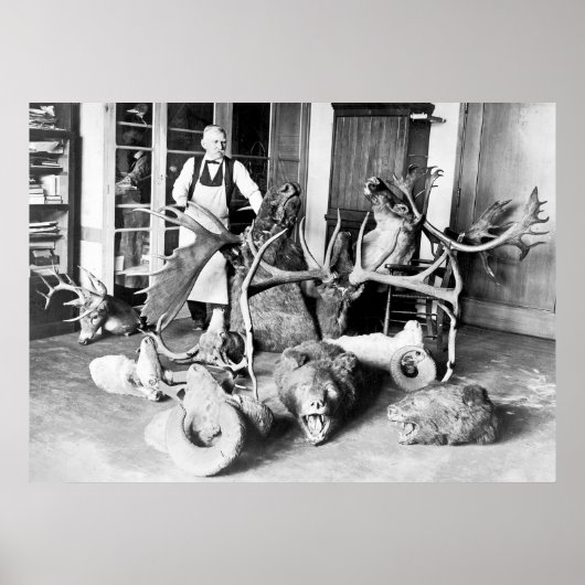 Poster Taxidermiste professionnel : 1923 (Devant)