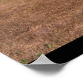 Poster Taylorcraft, BC-12D, 1946_Classic Aviation (Coin)