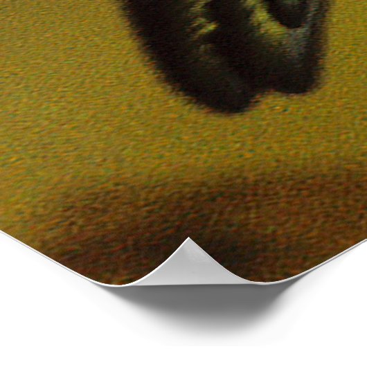 Poster Taz... (Coin)