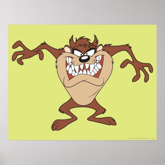 Poster TAZ™ pose 15 (Devant)