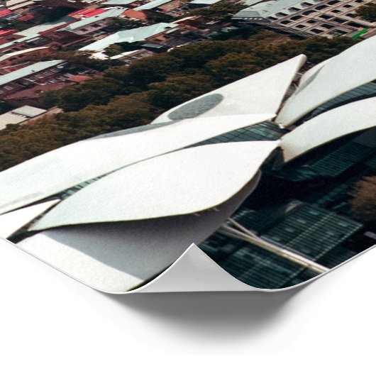 Poster Tbilissi (Coin)