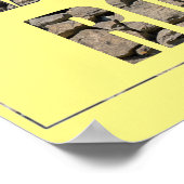 Poster Teachers Rock (Coin)