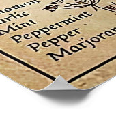 Poster Técherie de cuisine d'Halloween (Coin)