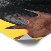 Poster Teddy Avec Cravate Graphique (Coin)