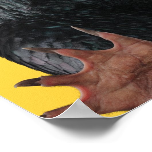 Poster Teddy Avec Cravate Graphique (Coin)