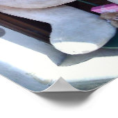 Poster Teddy Bear à Rothenburg, Allemagne (Coin)