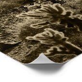 Poster Teddy Bear Cactus (Coin)