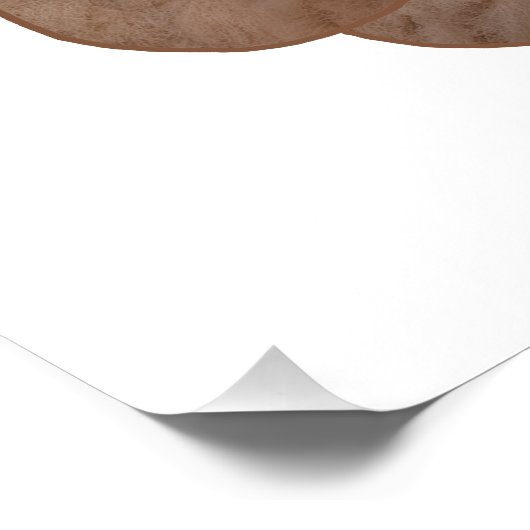 Poster Teddy Bear Day (Coin)