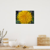 Poster Teddy Bear Sunflower (Cuisine)