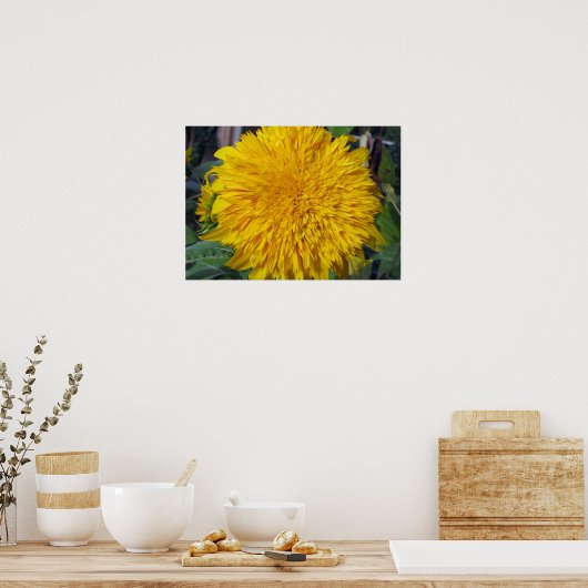 Poster Teddy Bear Sunflower (Cuisine)