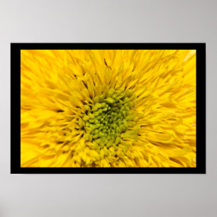 Poster Teddy Bear Sunflower Blossom