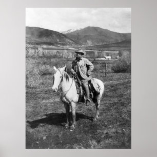 Poster Teddy Goes Bear Hunting, 1905