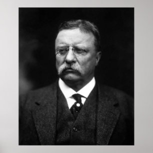 Poster Teddy Roosevelt