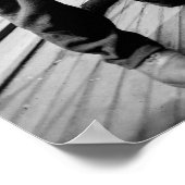 Poster Teddy Roosevelt avec équipage, début des années 19 (Coin)