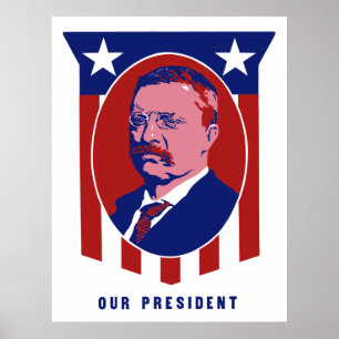 Poster Teddy Roosevelt — Notre président