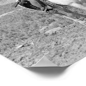 Poster Teddy Roosevelt Sur La Chasse À Cheval (Coin)