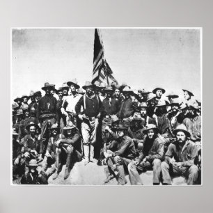 Poster Teddy's Colts