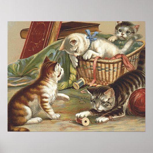 Poster TEE Curious Cat (Devant)